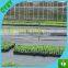 temporary used anti root mat recycled pp plastic weed mat,cheap ground cover fabric,black weed control cloth with green stripe