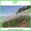 durable galvanized steel frame greenhouse agricultural greenhouse