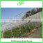 Durable Galvanized Steel Frame Greenhouse Agricultural Greenhouse