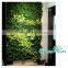 Green Field Living Wall Growing Systems/Interiorscaping living wall,green wall system,vertical garden living wall