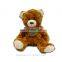 China wholesale custom graduation teddy bear