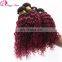 Good Feedback Brazilian Virgin Hair Sew In Human Hair Weave Ombre Hair