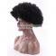 Unprocessed human hair wig natural afro wigs