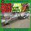 Sweet potato grading machine/ pear fruit washing drying waxing grading machine