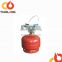0.5kg small camping lpg gas cylinder