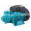 220v qb60 electric 30m head domestic water pump