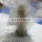 Hand  Pump   092130-0050