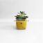 wholesaler cheap custom logo desk decoration plant felt bag vase