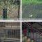 pvc coated Fiber glass window screen/ mosquito net for windows