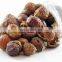Natural soap nut from Vietnam