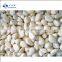 2022 A grade Fresh Natural Garlic granules