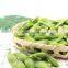 Sinocharm IQF Edamame Frozen with competitive price