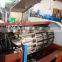 HAS VIDEO High Speed Full Automatic Long 58-60 Teeth Artistic Straw Making Machine