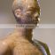 Acupuncture human body model