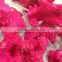 Wholesale Red Coral Natural Dyed in Red Rough for Jewelry Making