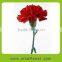 2016 carnation with lily flower