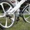 Seagull,cheap electric bike taxi