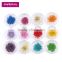 12 colors 3g bottle nail art sticker nail art decoration Real dried flowers