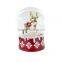 reindeer snow globe for Christmas