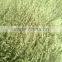 Wholesale Tibetan Mongolian Lamb Dyed Fur Plate