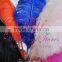 colored ostrich feathers