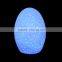 Electronic lamp automatic color changed night light LED table lamp