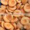 IQF frozen apricot half with good quality for sale