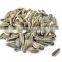We sale Varied Roasted salted sunflower seeds