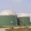 biogas generator 1mw