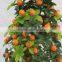 factory sale cheap small orange fruit TREE