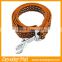 Hot Sales Pet Products in China Nylon Dog Leash, Dog Harness L/XL