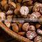 BETEL NUTS 80% GOOD CUT GOOD PRICE FOR BANGLADESH