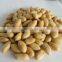 Fried peanut in Bags/canned From China For export with cheap price