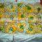 2016 Chinese Fresh Bell Pepper(Factory)