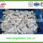 Hot sale Best quality frozen IQF garlic paste from china with high quality