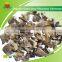 Most Popular Organic Gray Dried Pleurotus Ostreatus