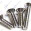 Torx Countersunk head screw