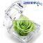 Good market Fresh rose with variety of colors, gift , ring box on sale