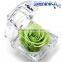 Fresh Guarantees Preserved Natural Roses Romantic gift In Glass