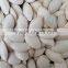 Inner Mongolia Shine Skin Pumpkin Seeds in Shell