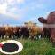 Agrolink Sodium Humate Powder For Animal Feed Additive