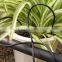 Straight arrow dripper for drip irrigation, drip irrigation system