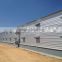 Galvanized Steel Structure Chicken House for Algeria