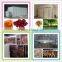 2015 high-tech factory price cost effective automatic control electric dish dryer