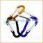 Fashion High Quality iron carabiner