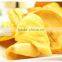 Hot selling paypaya drying oven/paypaya dryer machine with good price