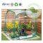 Cheap Mini Energy Save Transparent PVC Flame Greenhouse