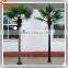 Wholesale lighted palm trees customized outdoor led street light