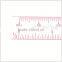 Transparent Plastic sandwich Line Scale Ruler For Measuring