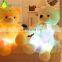 High Quality Stuffed Soft Plush LED Toys Night Lighting Colorful Bear
